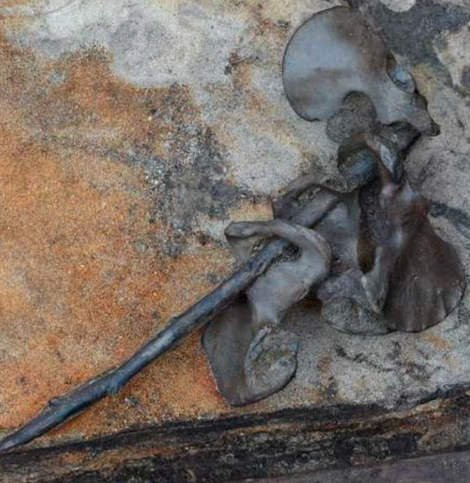Four femurs threaded onto a stick.